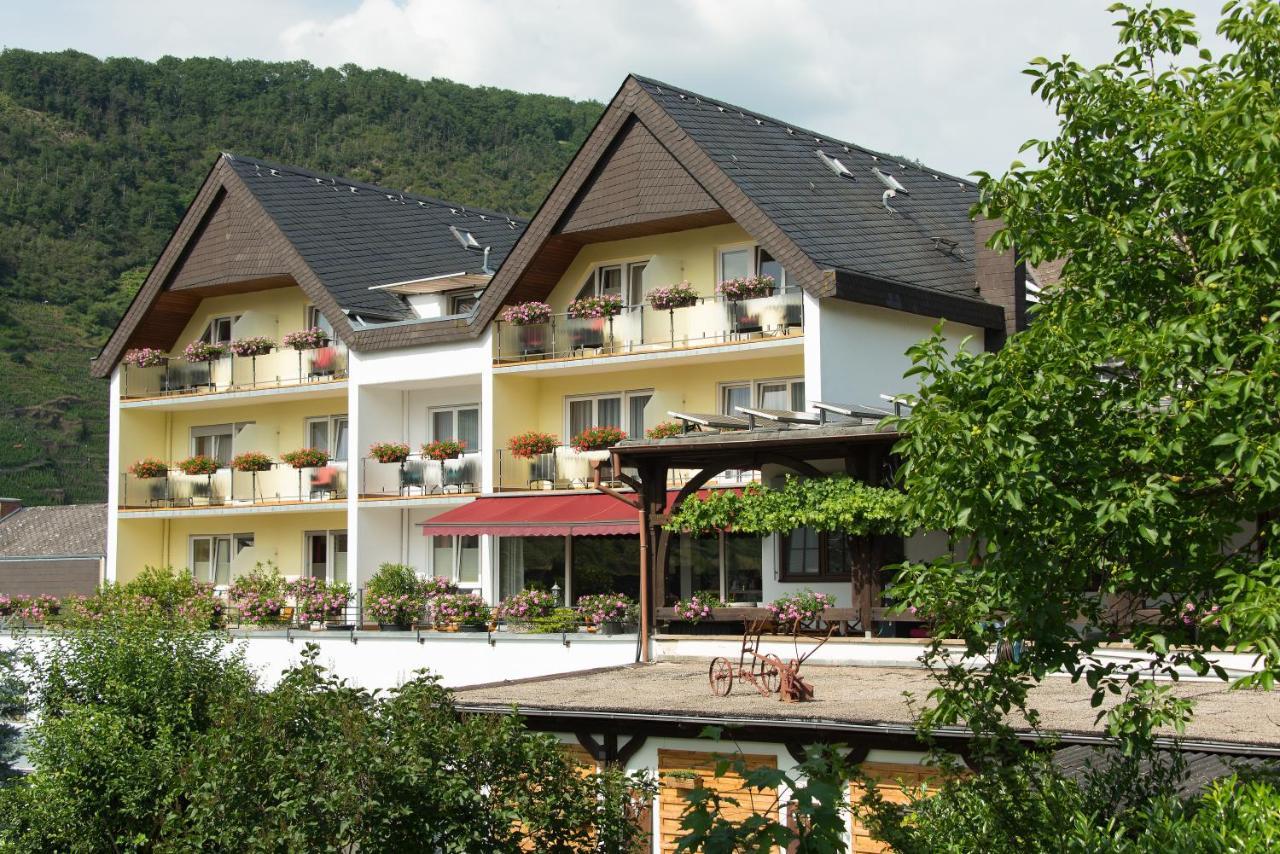 Weinhotel Sonnenschein Ernst Exteriér fotografie